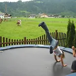 Dachsteinblick