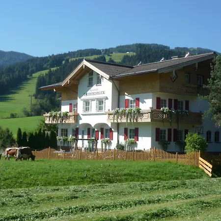 Dachsteinblick フラッハウ