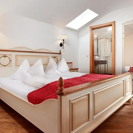 アパートホテル Dachsteinblick 4*