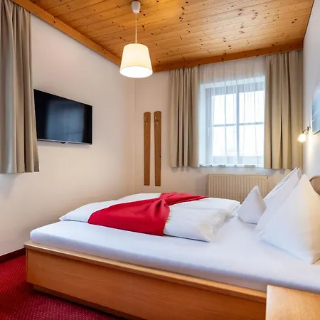 アパートホテル Dachsteinblick