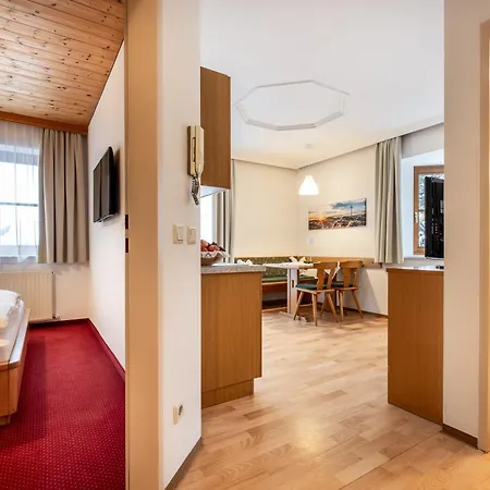 Dachsteinblick フラッハウ