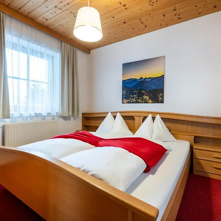 Dachsteinblick フラッハウ