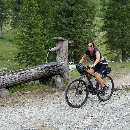 Dachsteinblick アパートホテル フラッハウ