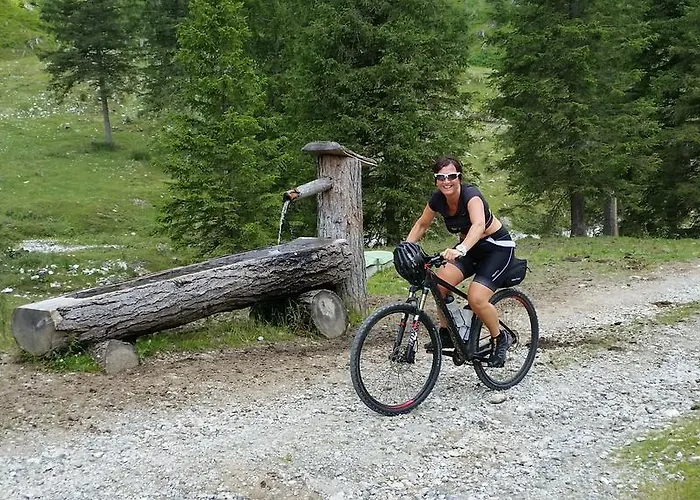 Dachsteinblick アパートホテル フラッハウ