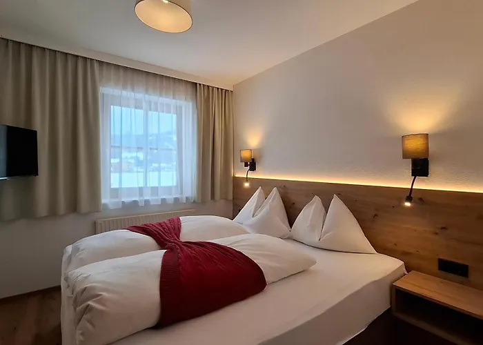 アパートホテル Dachsteinblick